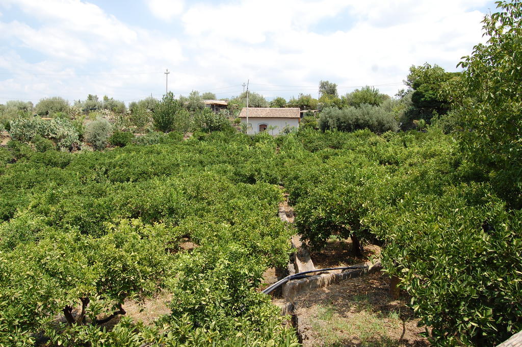 La Fattoria Dei Nonni ξενώνας Paterno  Εξωτερικό φωτογραφία